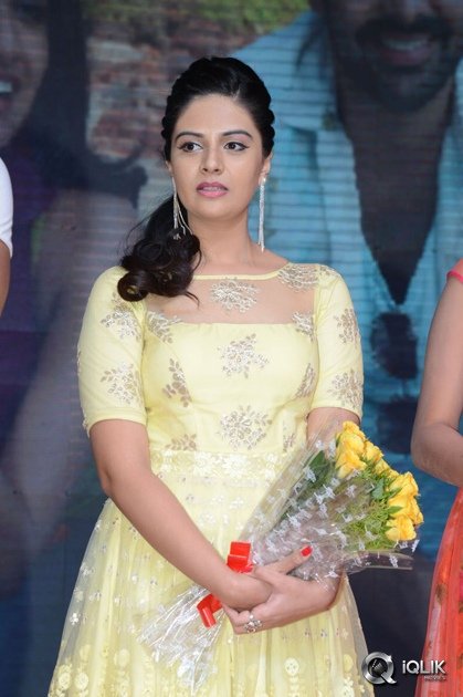 Nenu-Sailaja-Movie-Audio-Launch